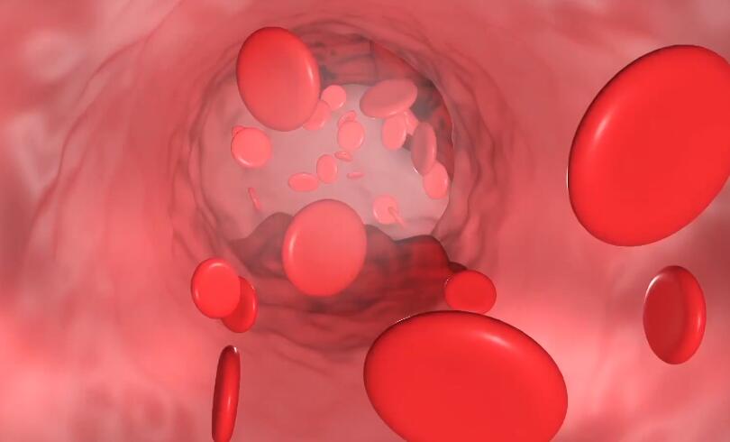 心血管动画模拟，细胞动画演示，血小板三维展示