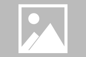 平台使用技巧中米兰官网的表现全面解析（干货）