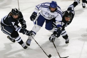 使用米兰·(milan)中国官方网站是一种怎样的体验