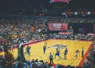 平台技术架构深度分析：米兰官网