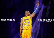 新手入门指南：milan米兰