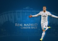 新手入门指南：milan米兰（干货）